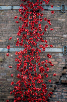 Weeping Window at Middleport Pottery